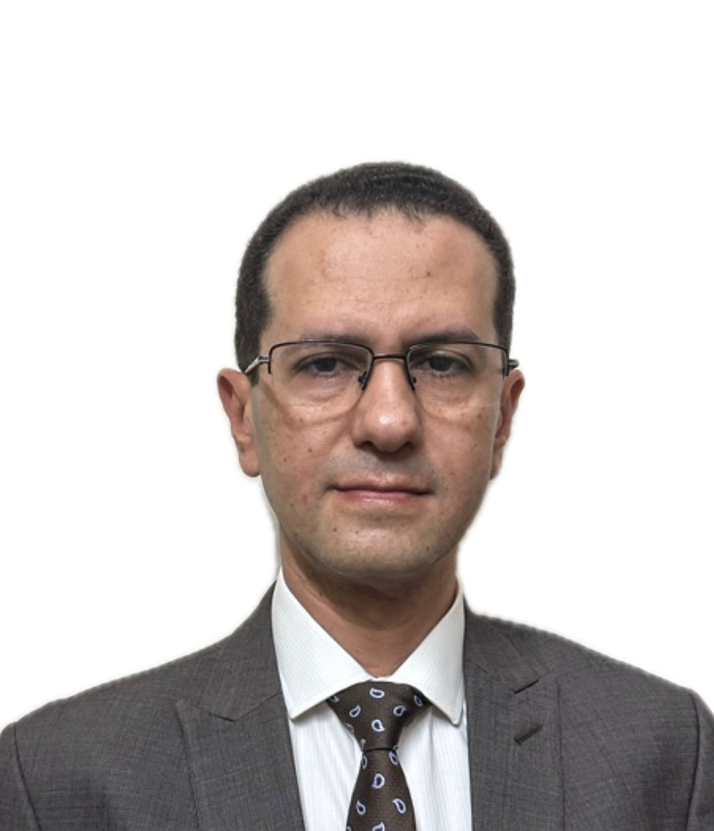 Hon. Wael Abdel-Razek